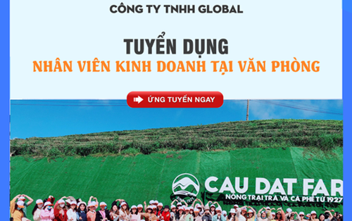 Công ty TNHH Global tuyển nhân viên kinh doanh làm việc tại văn phòng